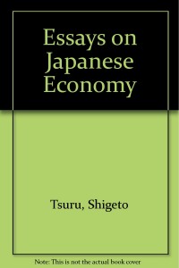 Essays On Japanese Economy