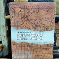 pengantar hukum pidana internasional